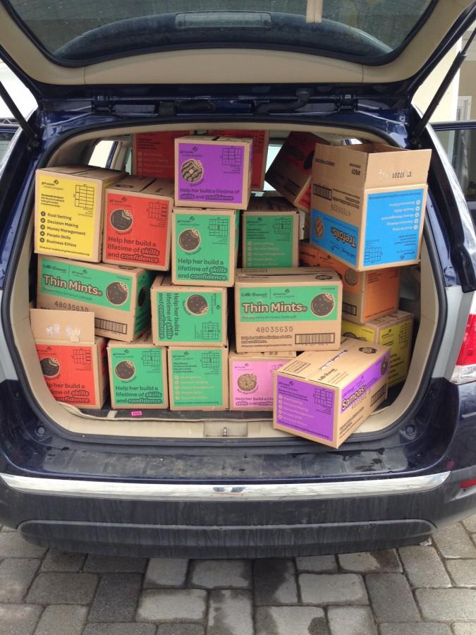 How many boxes of Girl Scout cookies did you sell this year?