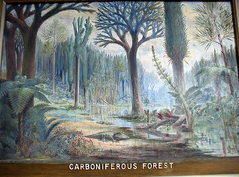 This painting at the Rutgers Geology Museum provides an accurate look at the fern forests of the carboniferous.