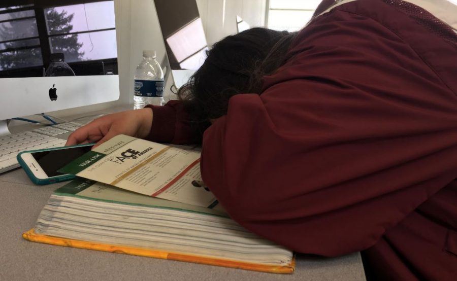 Senior Maggie Smith sleeping instead of studying