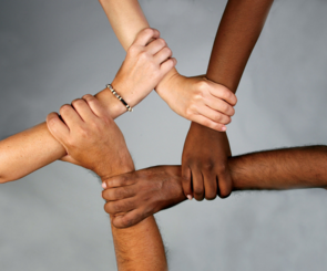 Unity through diversity
