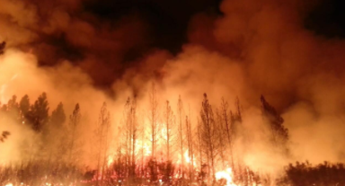 California Rim Fire in 2003.
