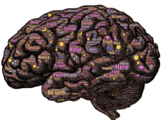 Sectors of the human brain.