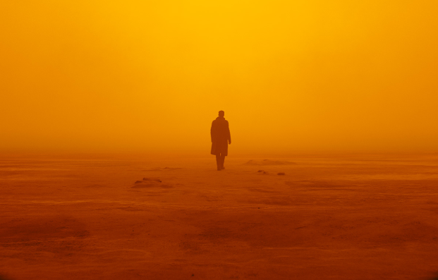 K walks through the ruined streets of Las Vegas in Blade Runner 2049
(Google Common License)