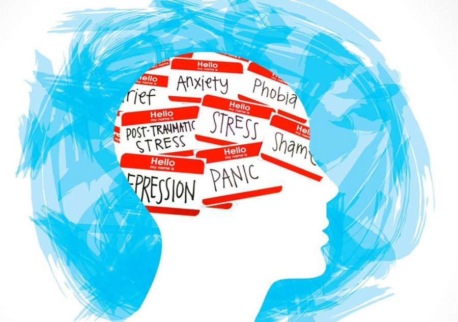 Anxiety and Mental Health Care in Madison High School