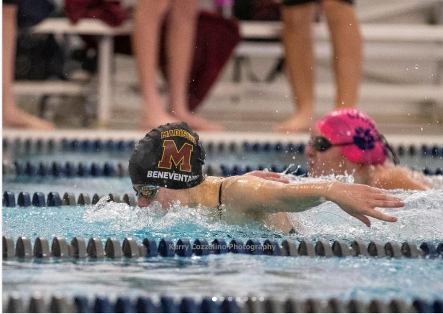 Dodger Swim Teams Earn Ten Top-Six Individual Finishes At ‘A’ And ‘B’ Championships