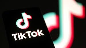 Will TikTok Survive?